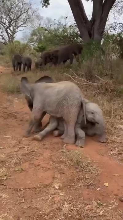 He started it!