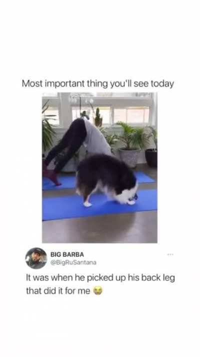 So adorable 🥺