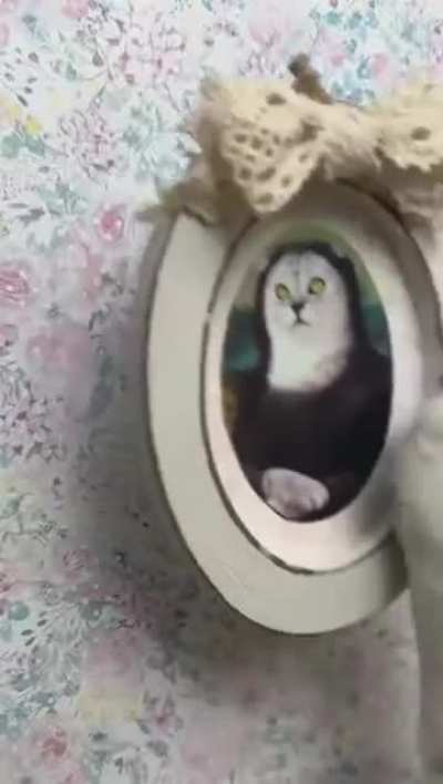 Nooo!! 