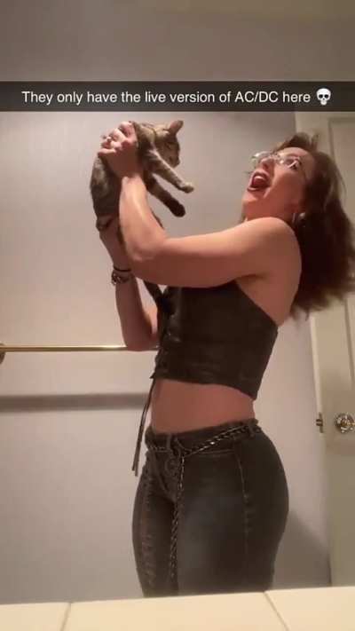 Kitten video from snap