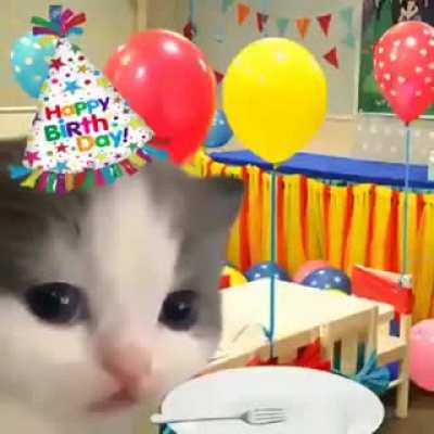 happy birth day