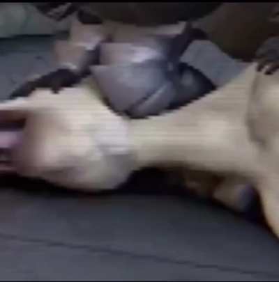Ayo 😳