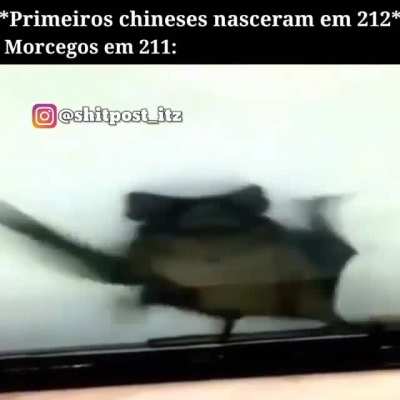 Morcego