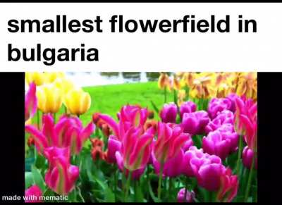 bulgaria