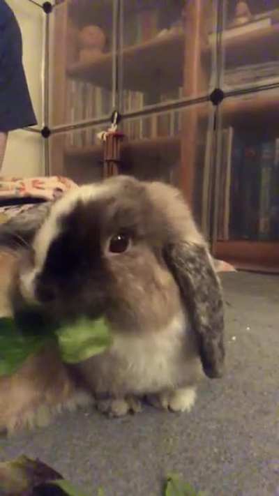 ahh! the food is escaping!