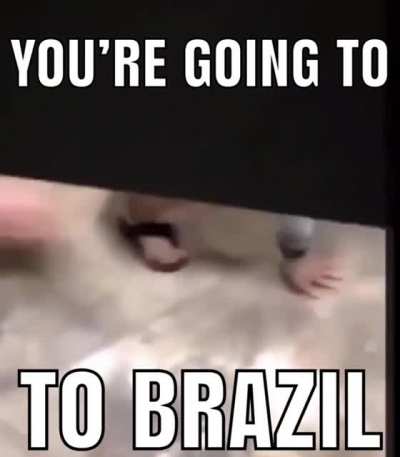 Adoro esses memes de 