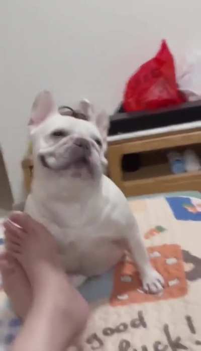 Smile is so cute