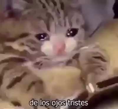 cri
