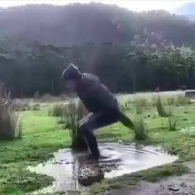 Título está a assustir jojo depois desse meme
