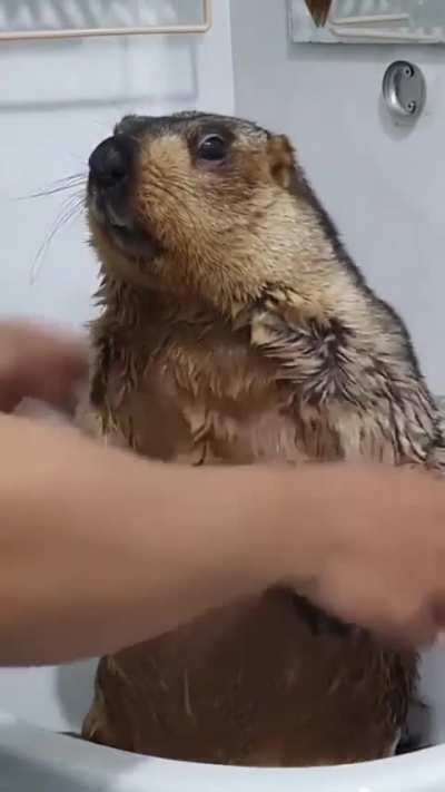 Clean wunk