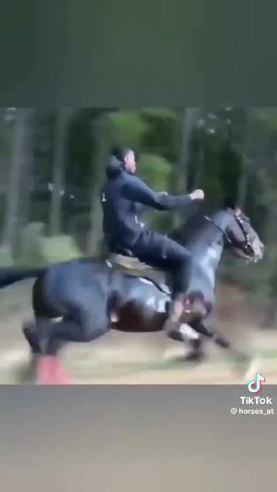 First time seeing a horse run like this