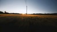 Relaxing wheat fields