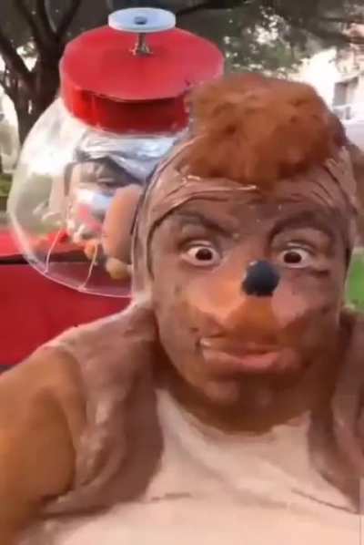 rgulr sow