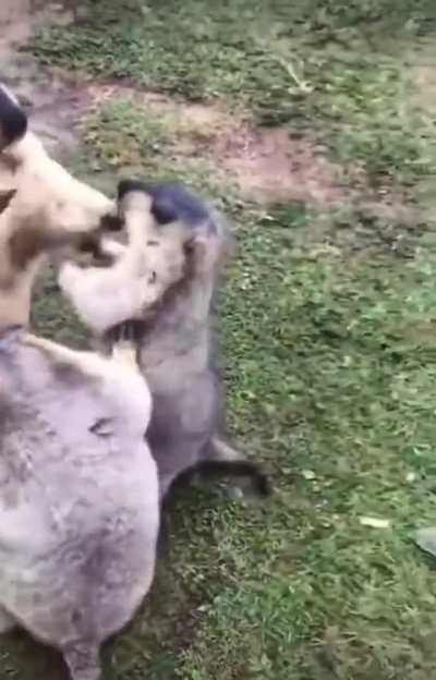 Hey, that was mine!