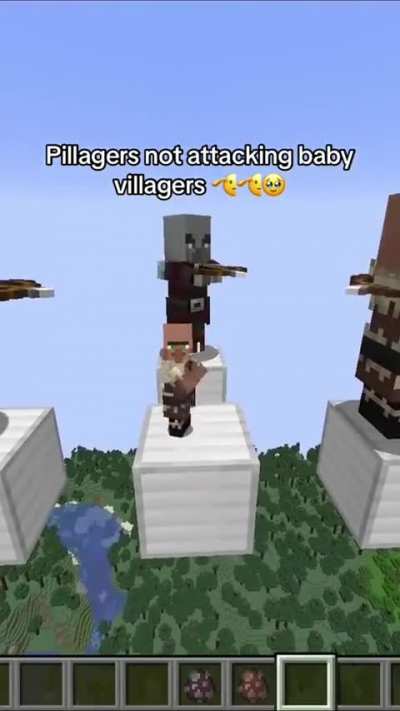 New respect for pillagers