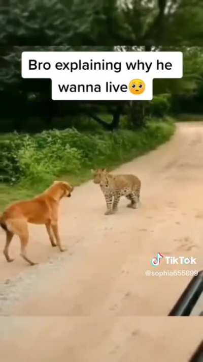 so sad