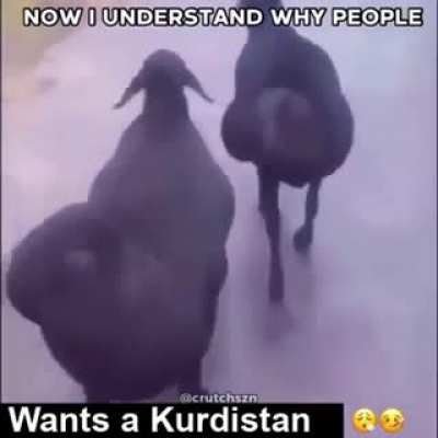 i understand now
