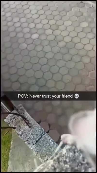maybe maybe maybe