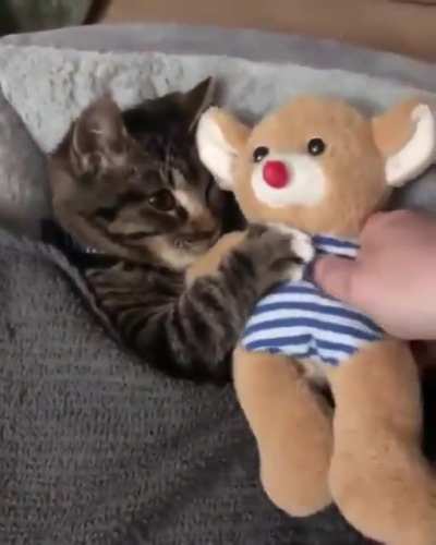 yo