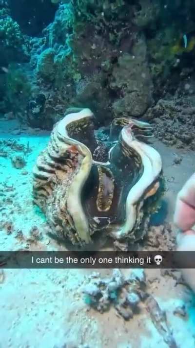 Only if you're fast enough 