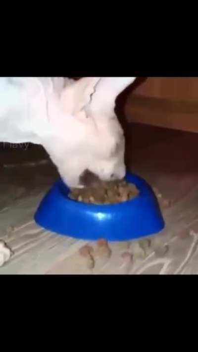 Yummy