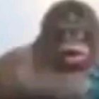 Uhé ooh