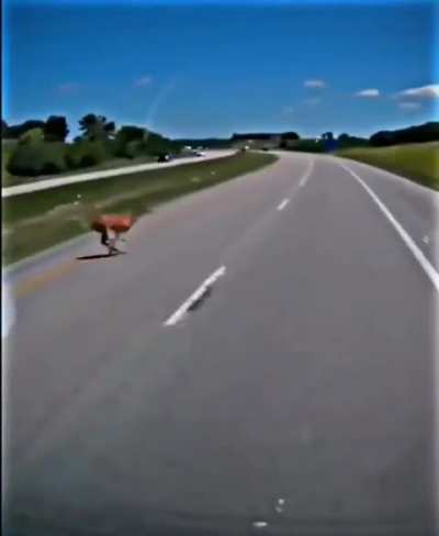 Wordington edit 