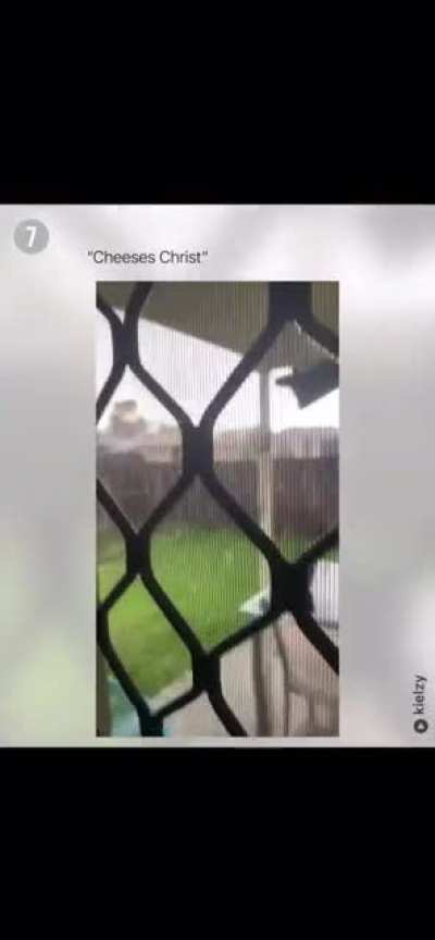 Don’t I repeat DON’T look at the sky!