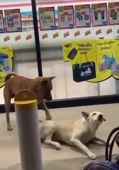 This belongs here