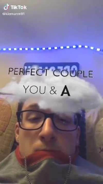 The Perfect Couple