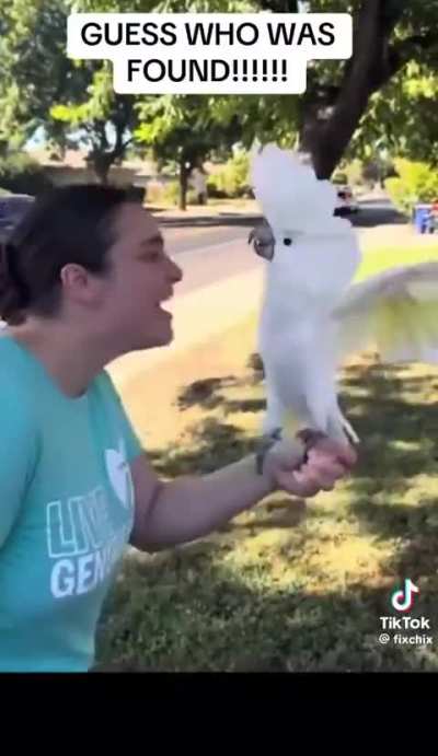 A woman is reunited with her stolen bird thanks to the man who bought it