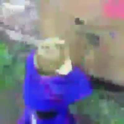 sdd de ser inocente assim