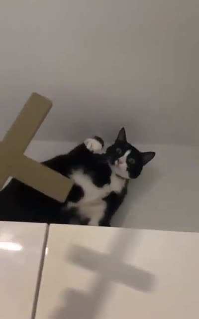The Power of Christ Compels You !