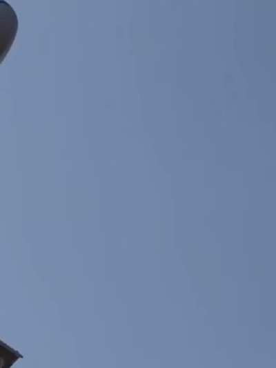aeroplane and birds