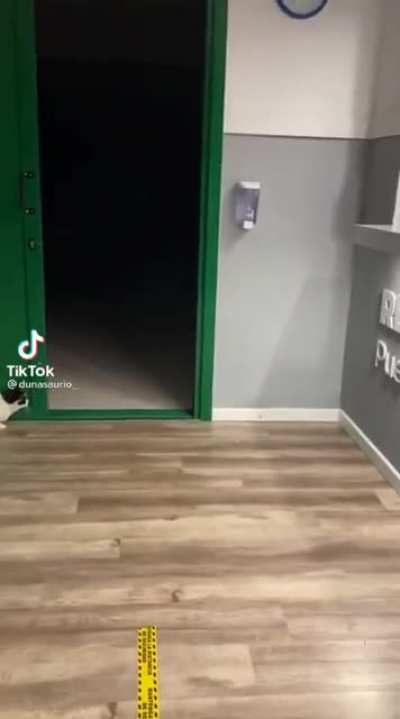 Poor pupper