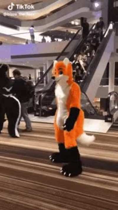 Die
