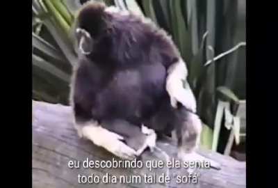 f total