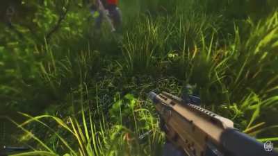 Just tarkov.