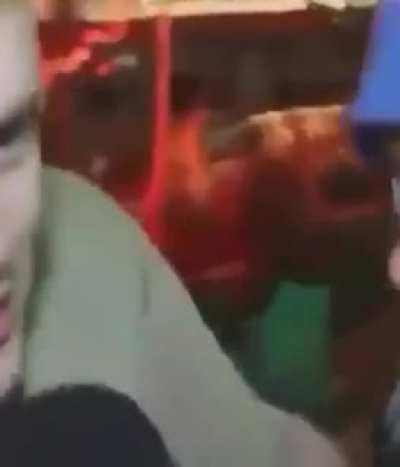 Insert title