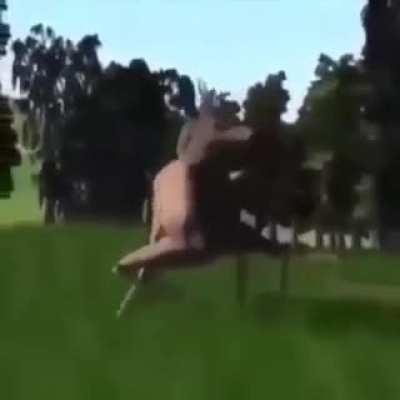 deer dance
