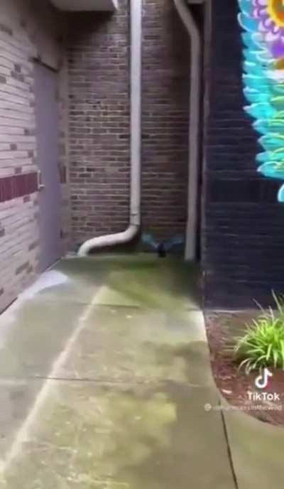 Wait for it..