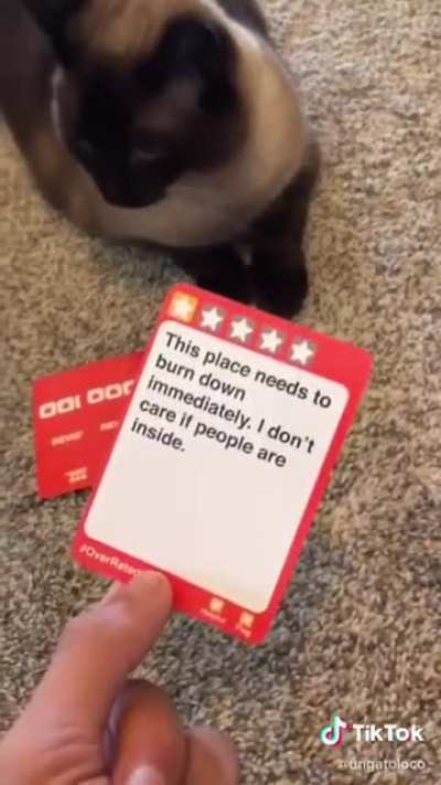 Yes, the cat