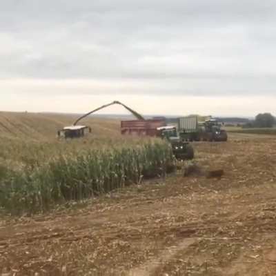 Good Harvest