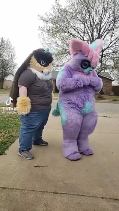 I think this is the largest fursuit I’ve ever seen 🙀
