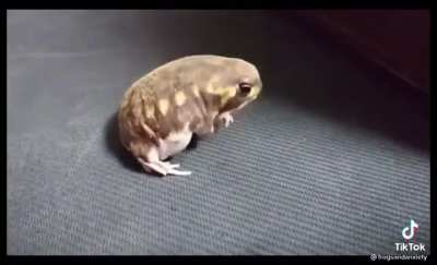 He itch
