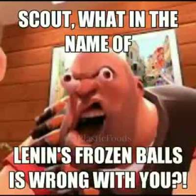 Scout wtf