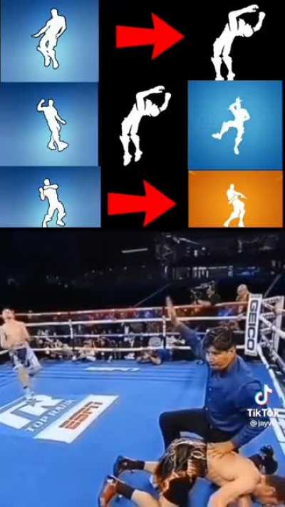 wordington boxer