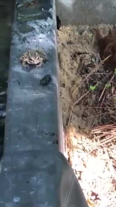 Nope