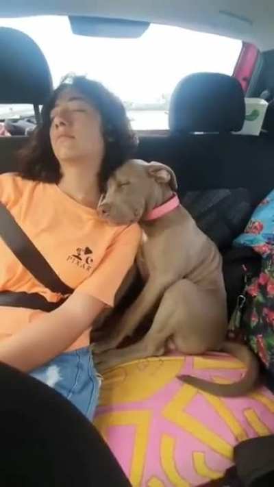 So this video circulating