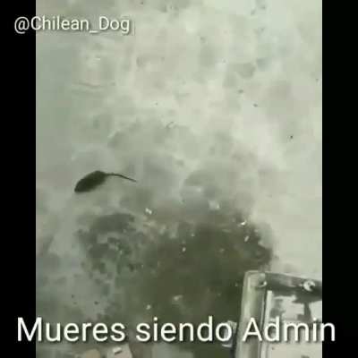 Pov, eres admin